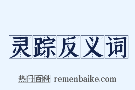 灵踪反义词是什么意思的图片